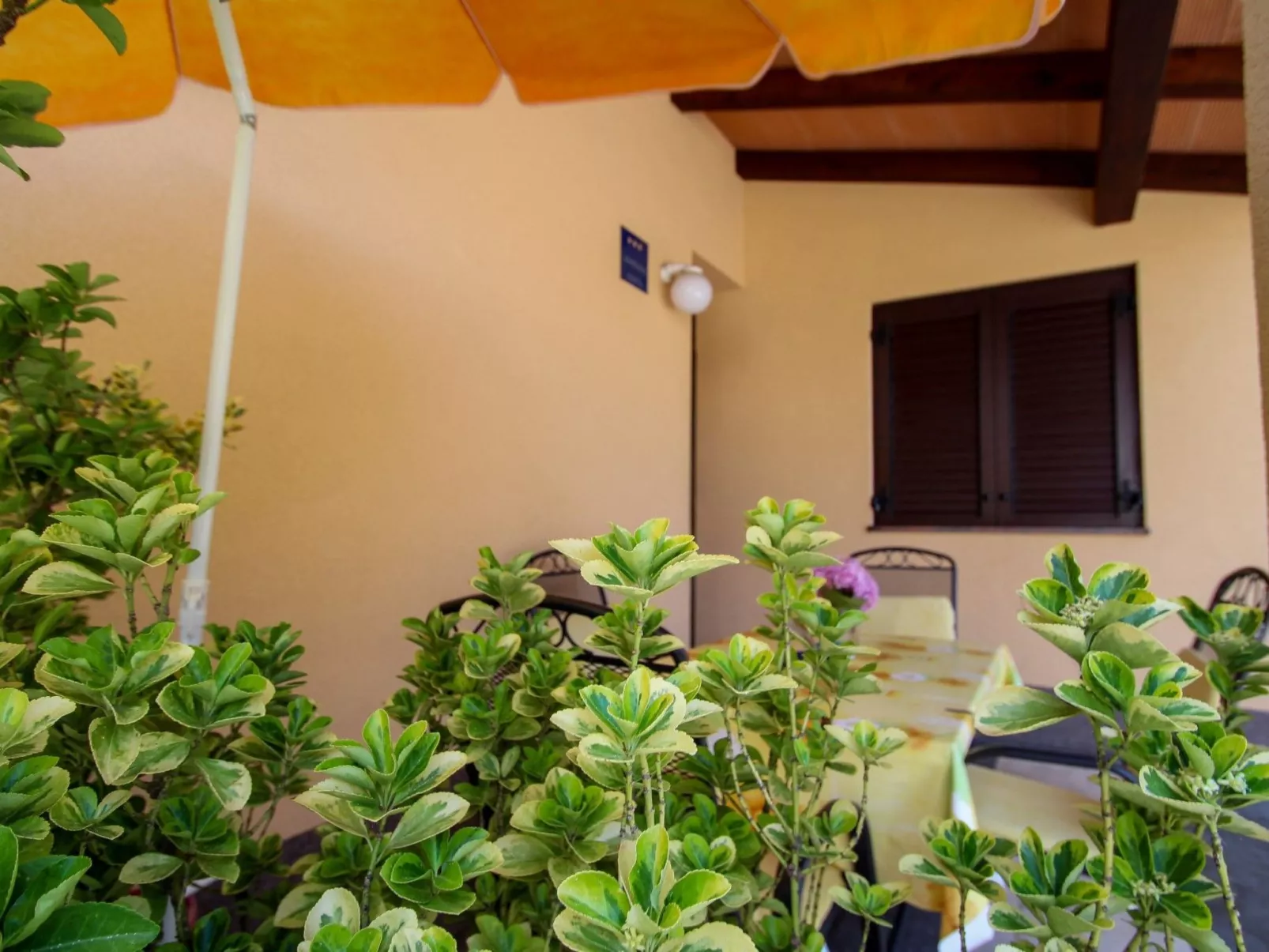 Erdgeschoss-Ferienwohnung Martinis 2 - Drinnen