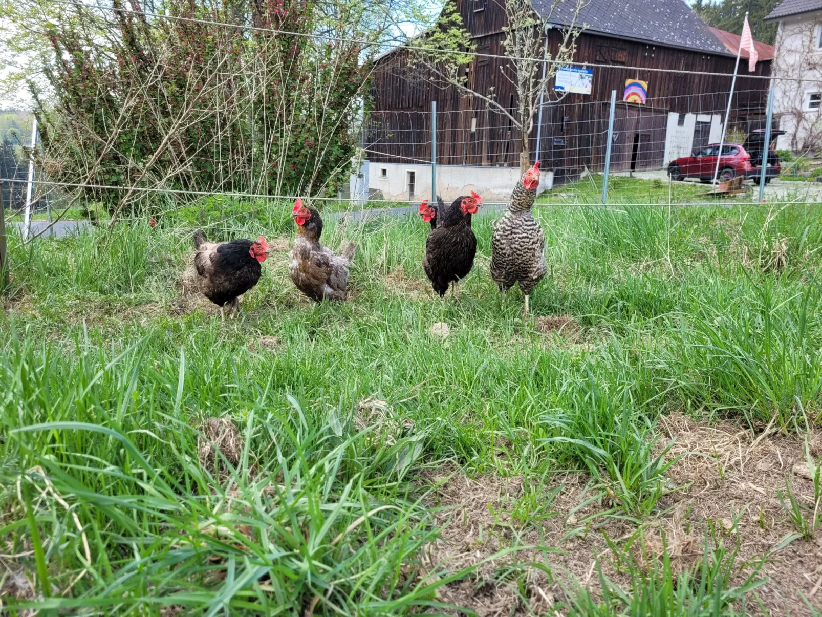 Bubble Übernachtung im Fichtelgebirge - Draußen