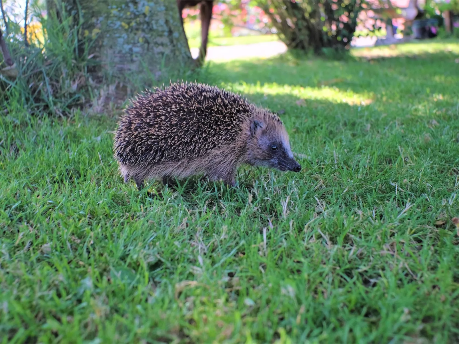 Doppelzimmer mit Frühstück - Outside