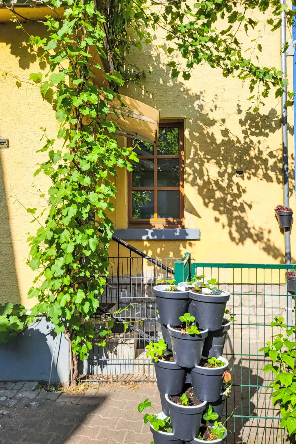 Tinkerhof Stahlhut - Dehors