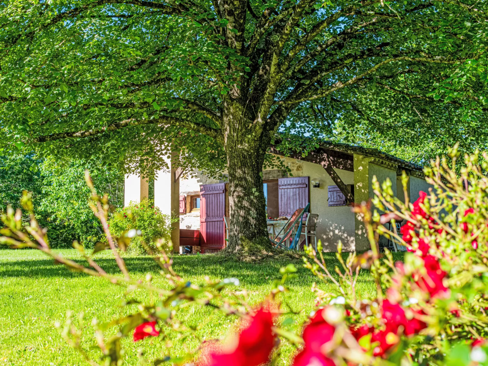 Gites de la Goujatte - Draußen