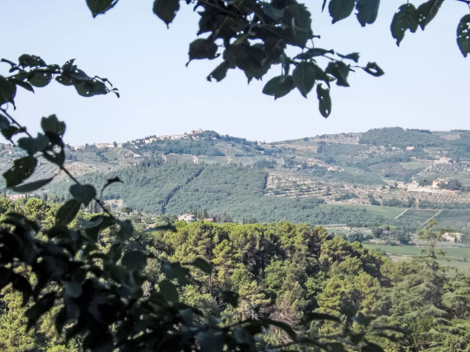 Il canto dei merli - Outside