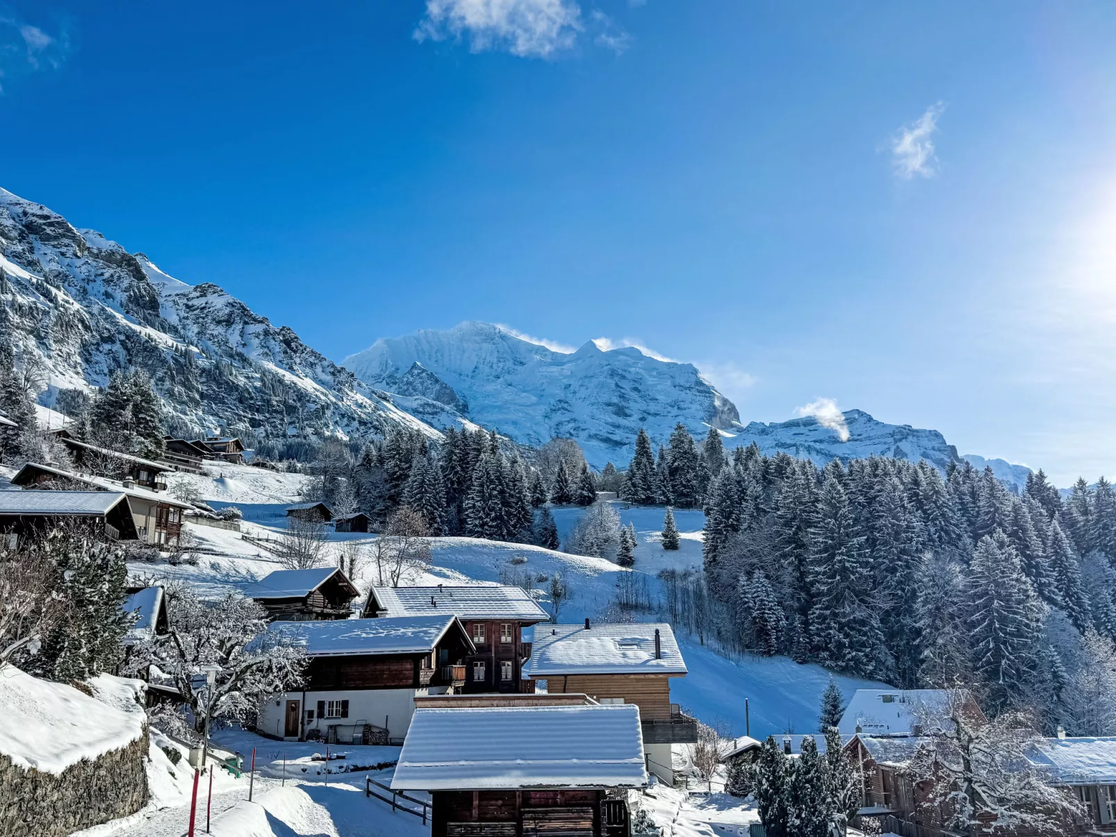 Chalet Sonnenhof - Area