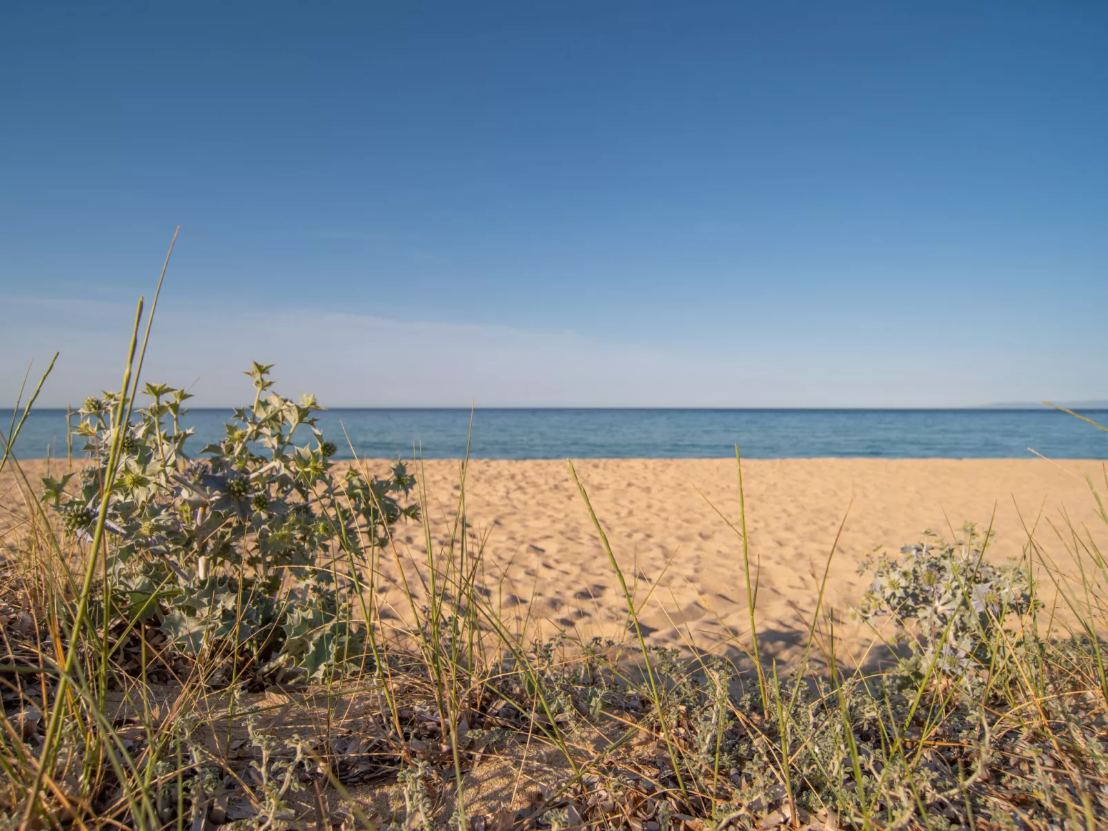 Wunderschönes freistehendes Haus - Umgebung