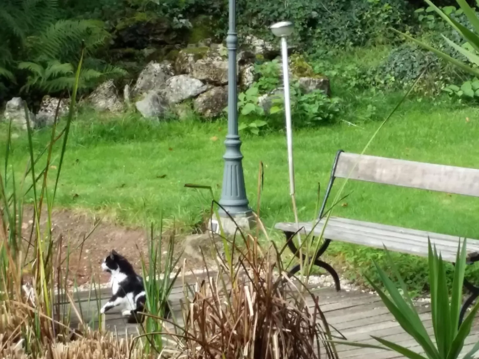 MaisonMazerand    Wohnen - Entspannen - Genießen - Draußen