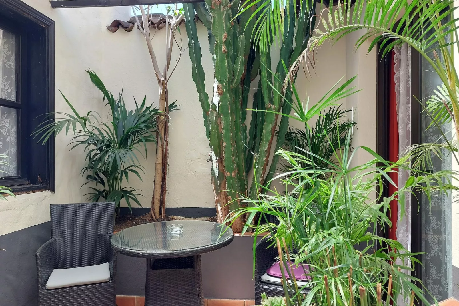 Apartamentos Monasterio de San Antonio 5 - Terrasse/Balkon