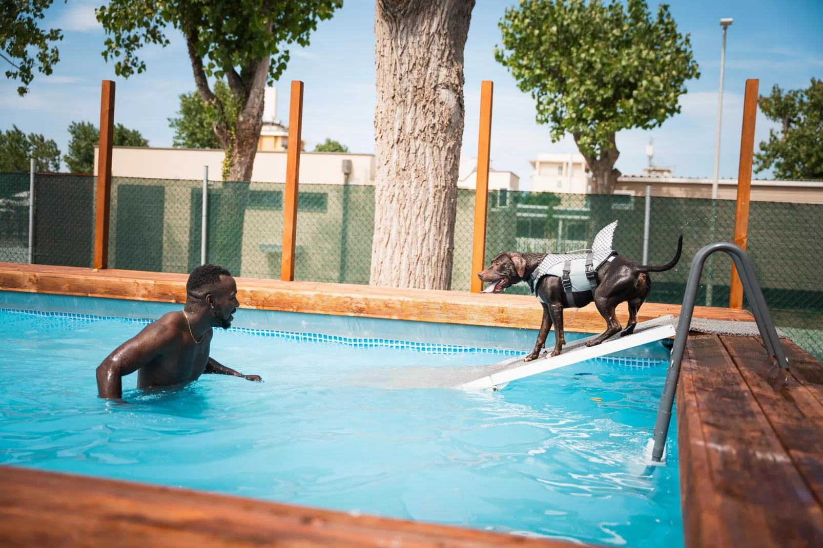 Rimini Family Resort - LODGE dog on request - Park facilities