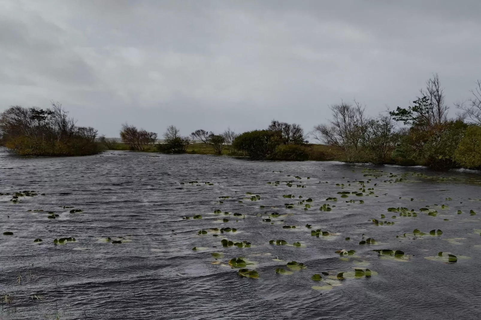 Maison de vacances pour 4 a Læsø - Vue sur l'eau
