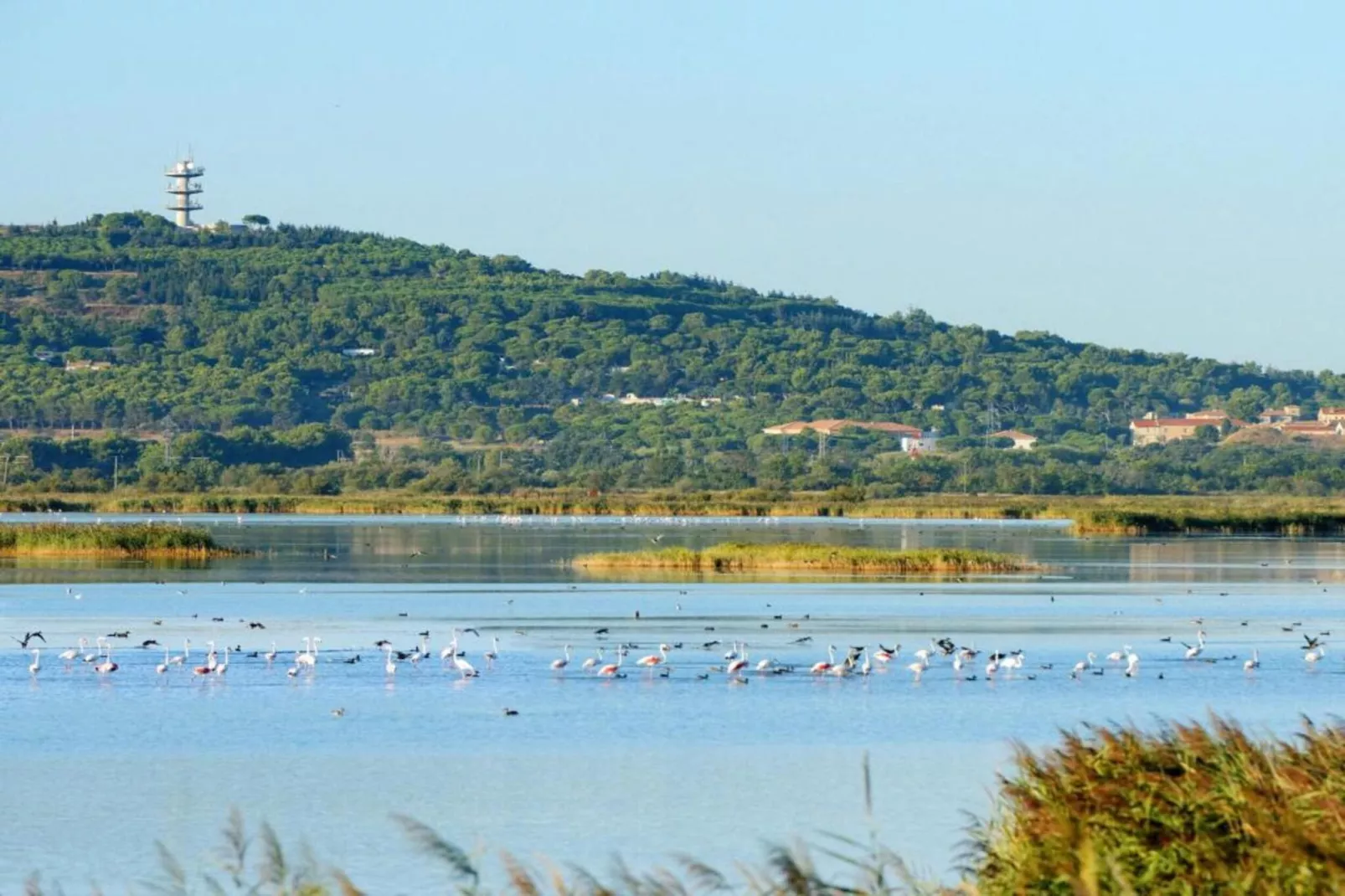 PALME D'OR N°37 - 2P6C - Areas within 20km in summer