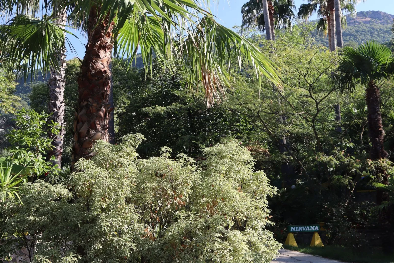 Silver Gate Rooms-Diocletian's Palace - Twin Room - Extérieur