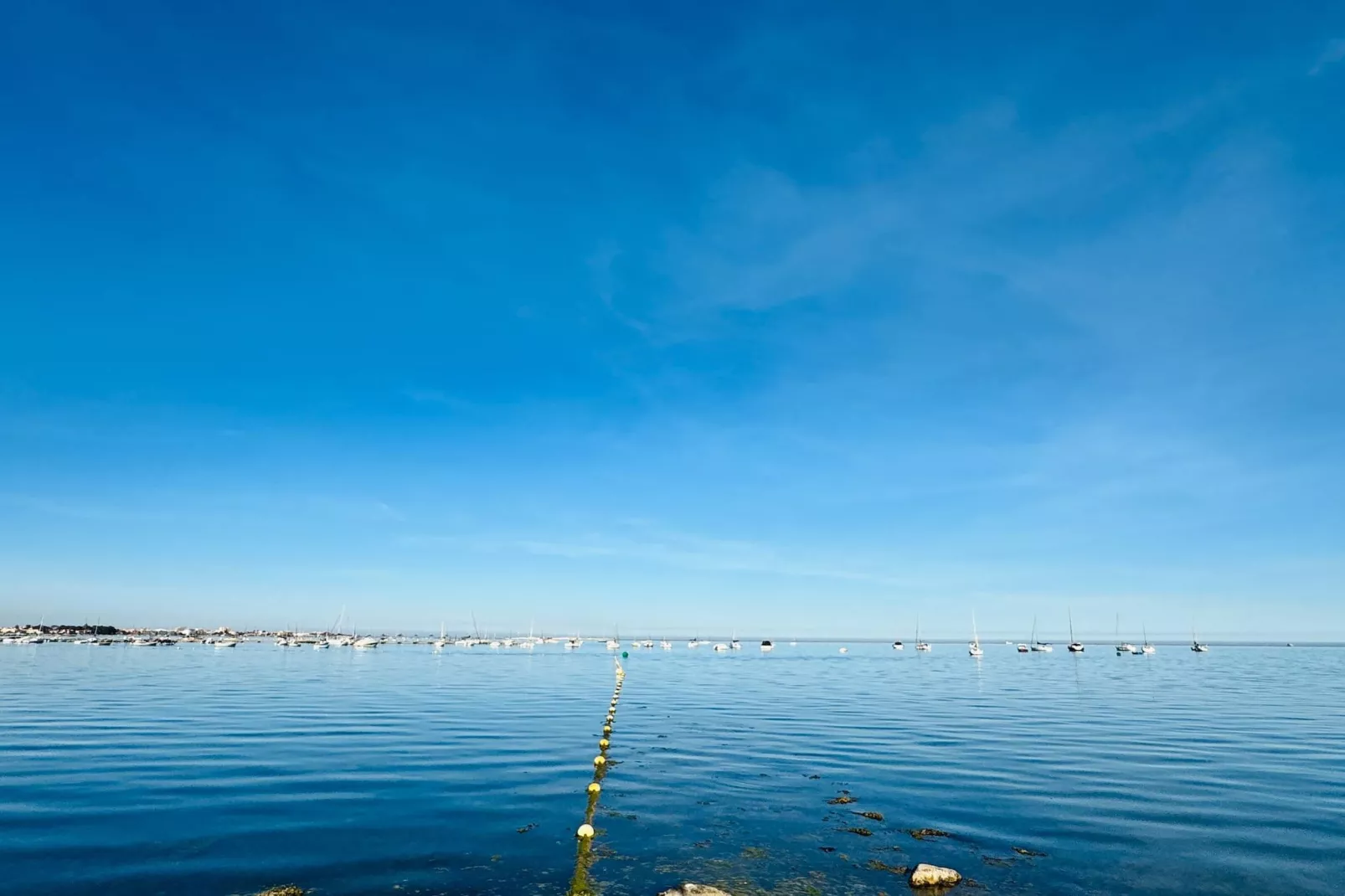 Suite - Areas within 5km in summer