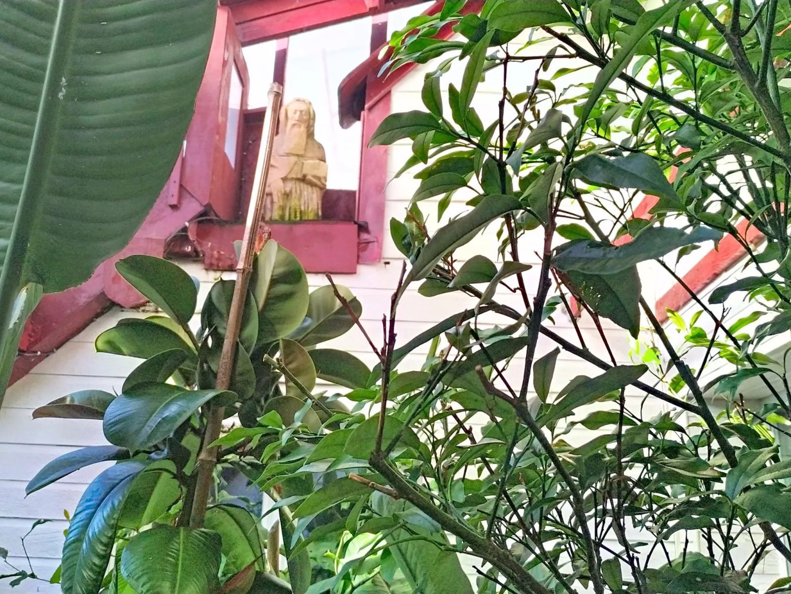 Le Paradis des Fleurs - Dehors