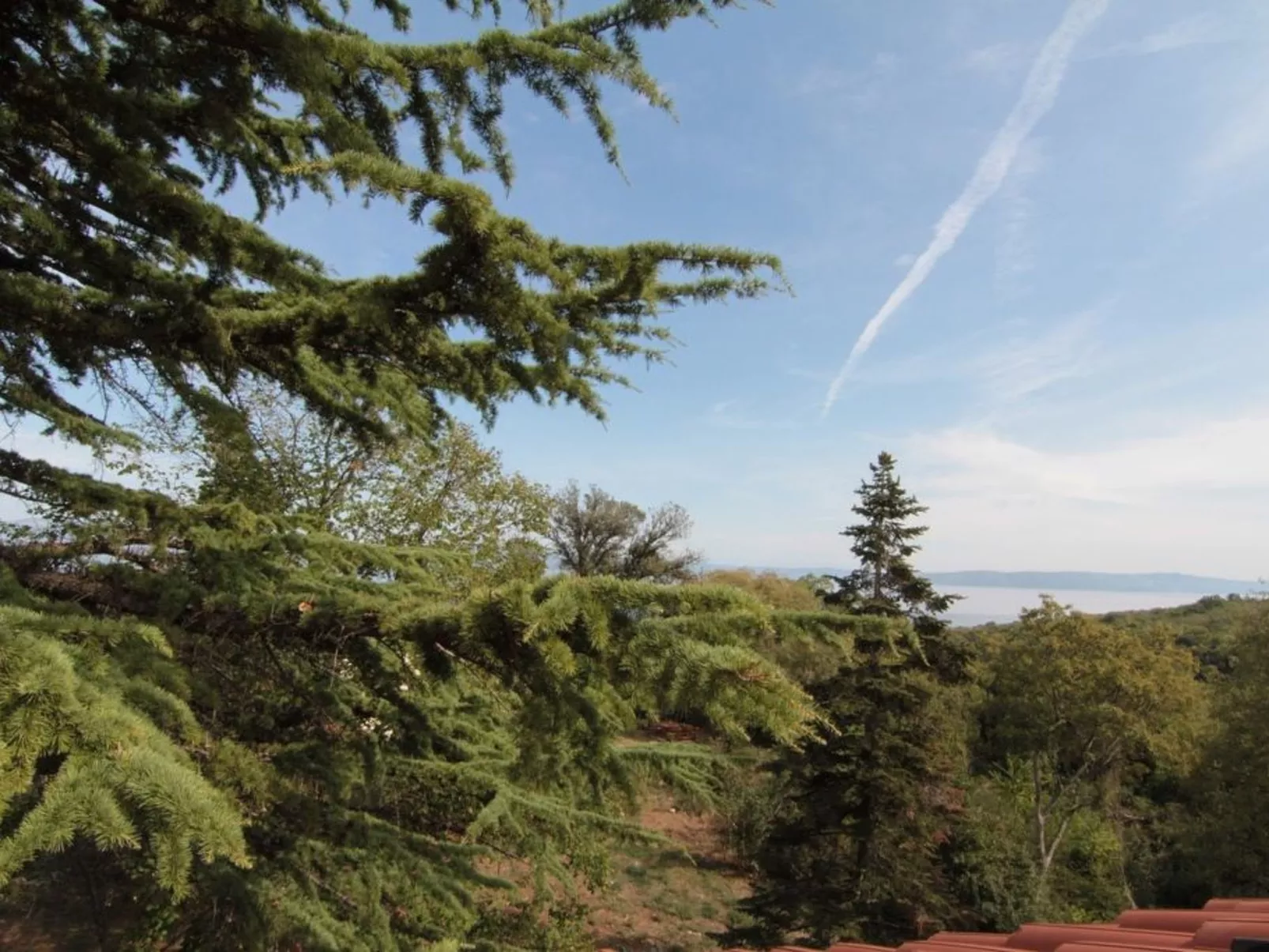 Modernes Ferienhaus in Drenje mit Privatem Garten - Inside