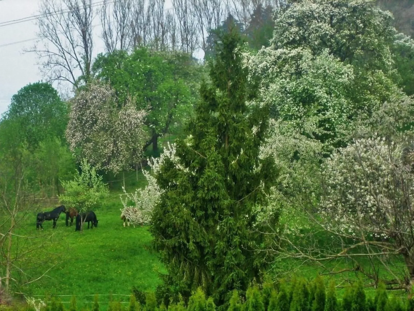 Villa Romantica - Outside