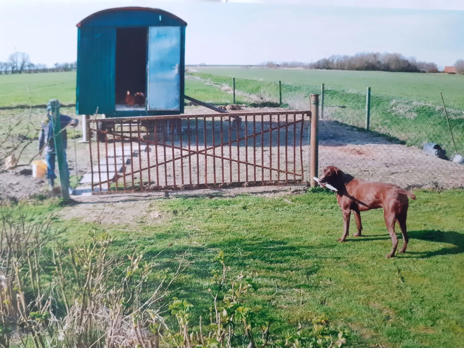 Gästezimmer mit Terrasse - Inside