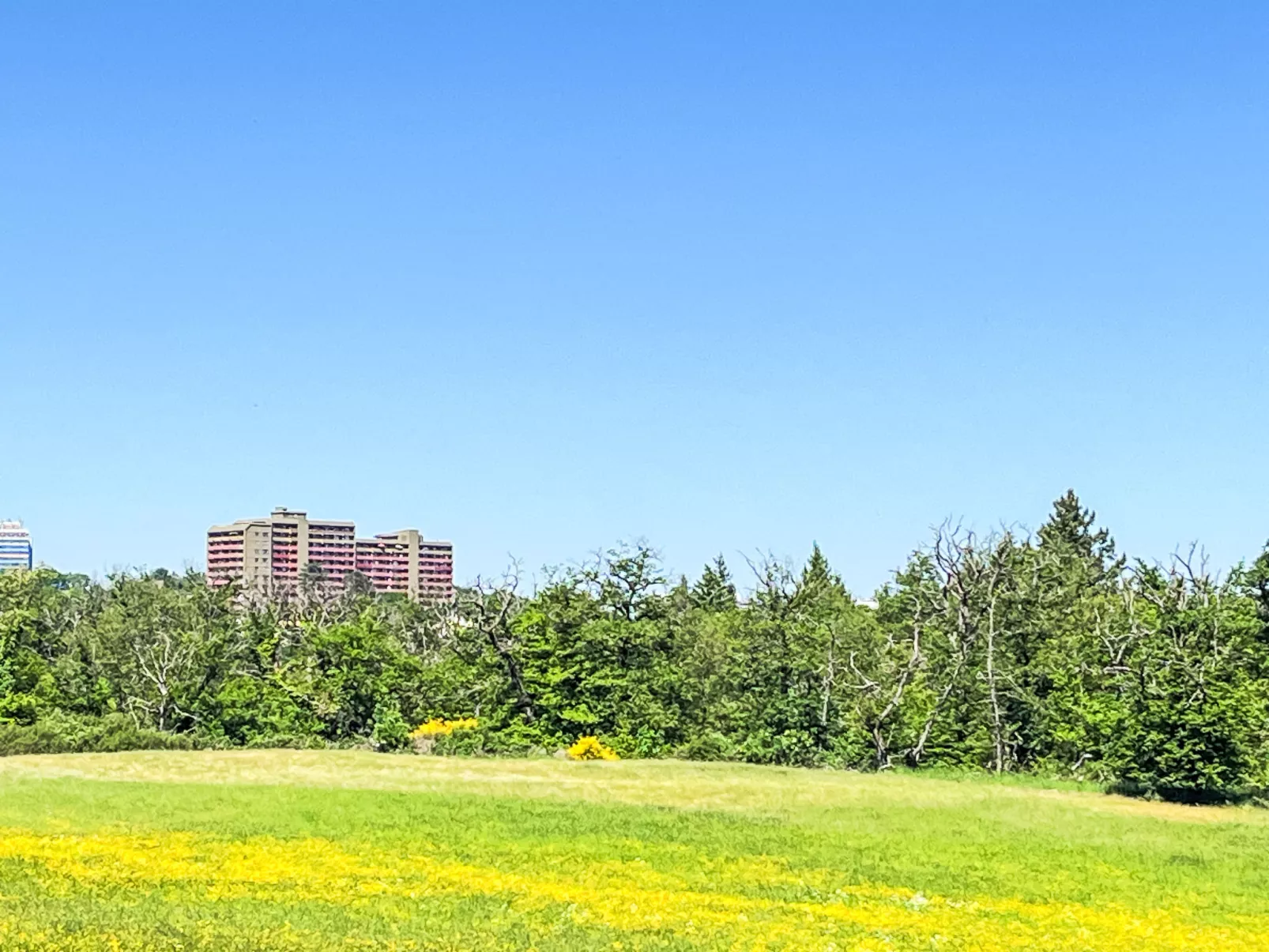 Ferienpark Rhein-Lahn - Outside