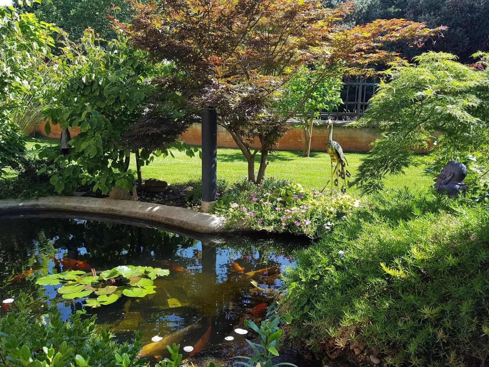 Ginkgo 4 - Image-tags.info