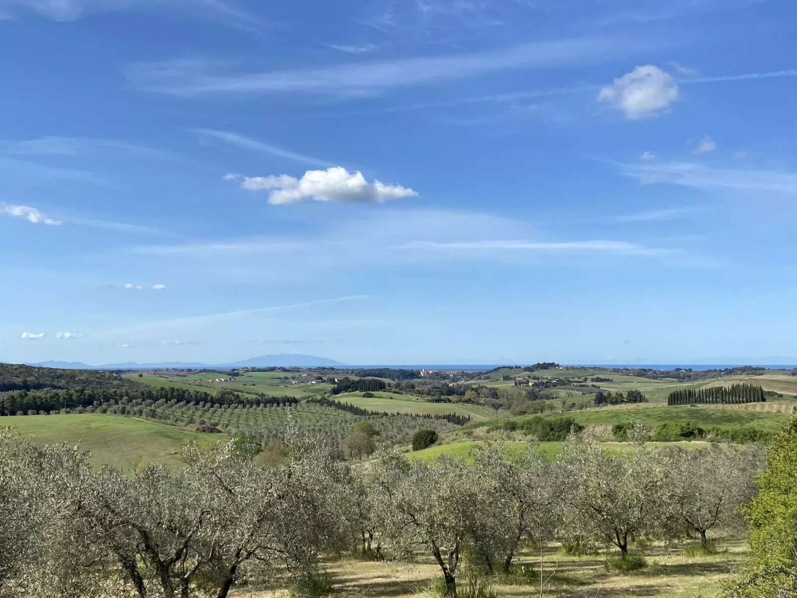 Villa gli Olivi - Umgebung