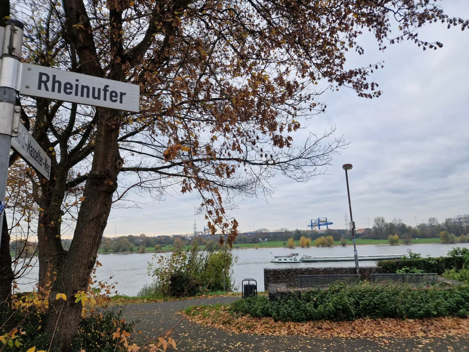 Fewo am Rhein - Dehors