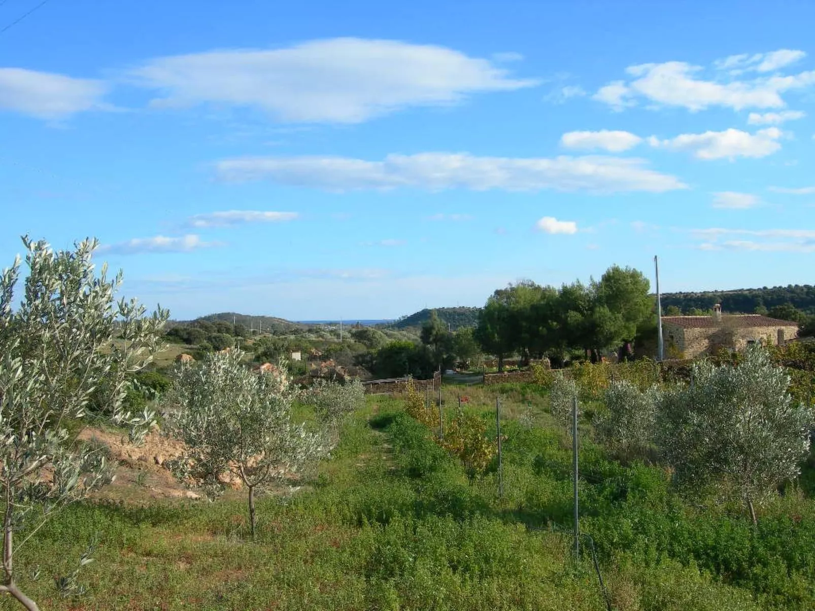 "Anania - Image-tags.info