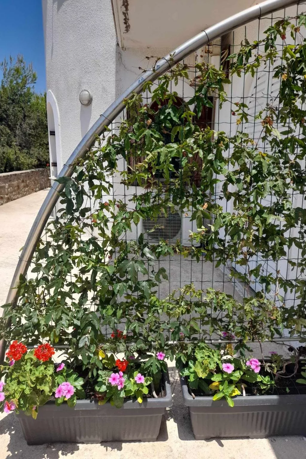 Charly Point Villa-Apartment, Doppelzimmer - Dehors