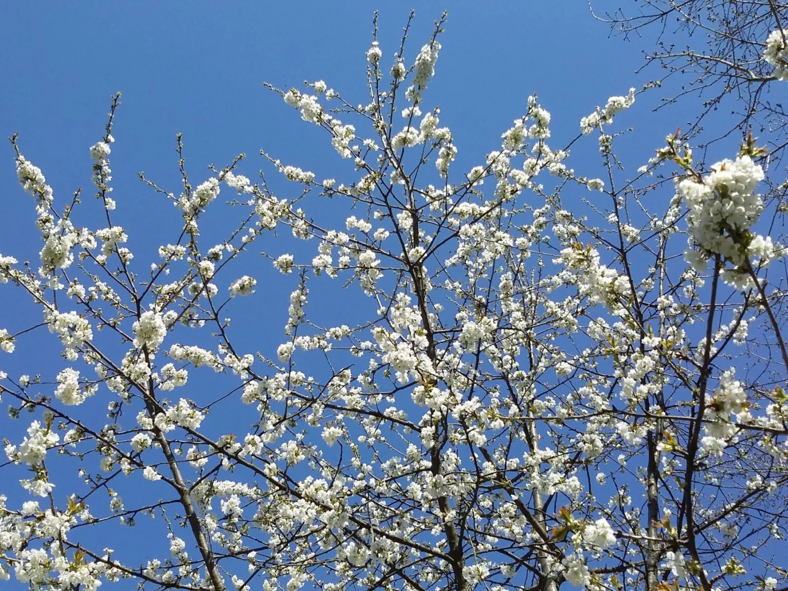 MaisonMazerand    Wohnen - Entspannen - Genießen - Image-tags.info