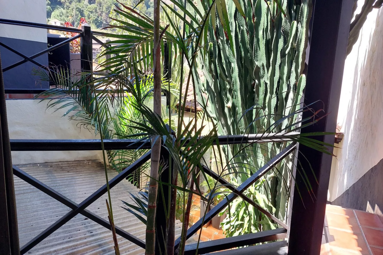 Apartamentos Monasterio de San Antonio 5 - Terrasse/Balkon