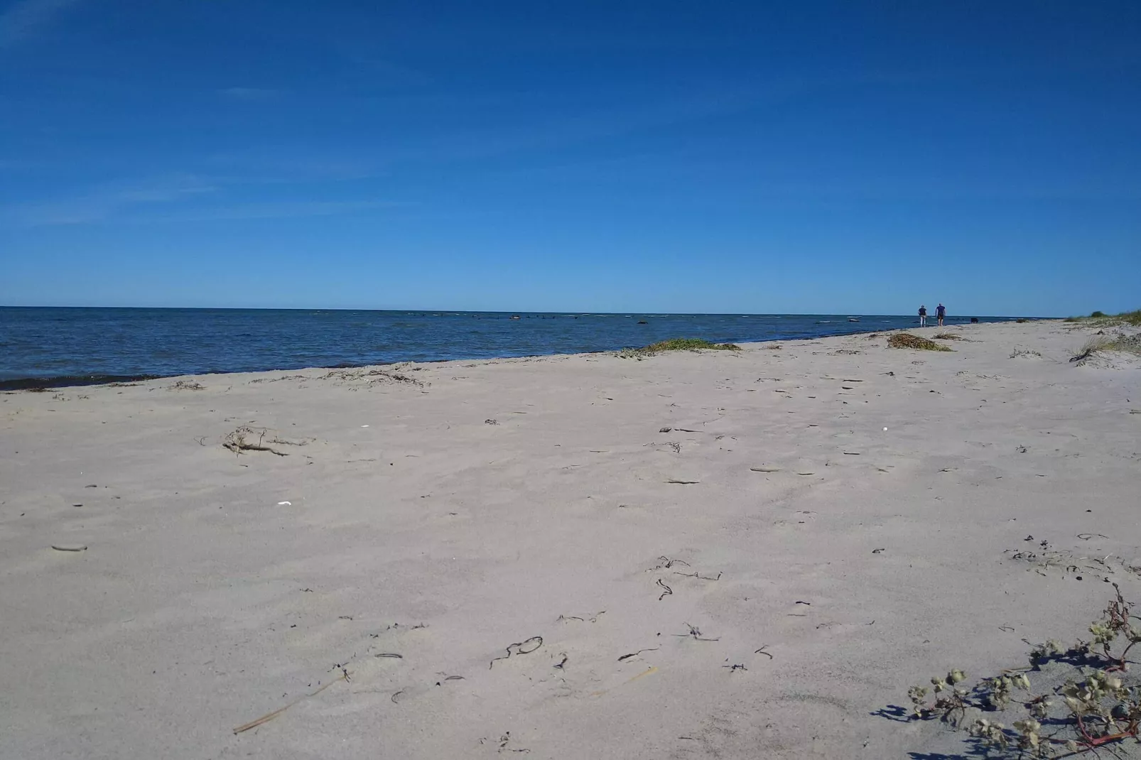 Maison de vacances pour 4 a Læsø - Vue sur l'eau