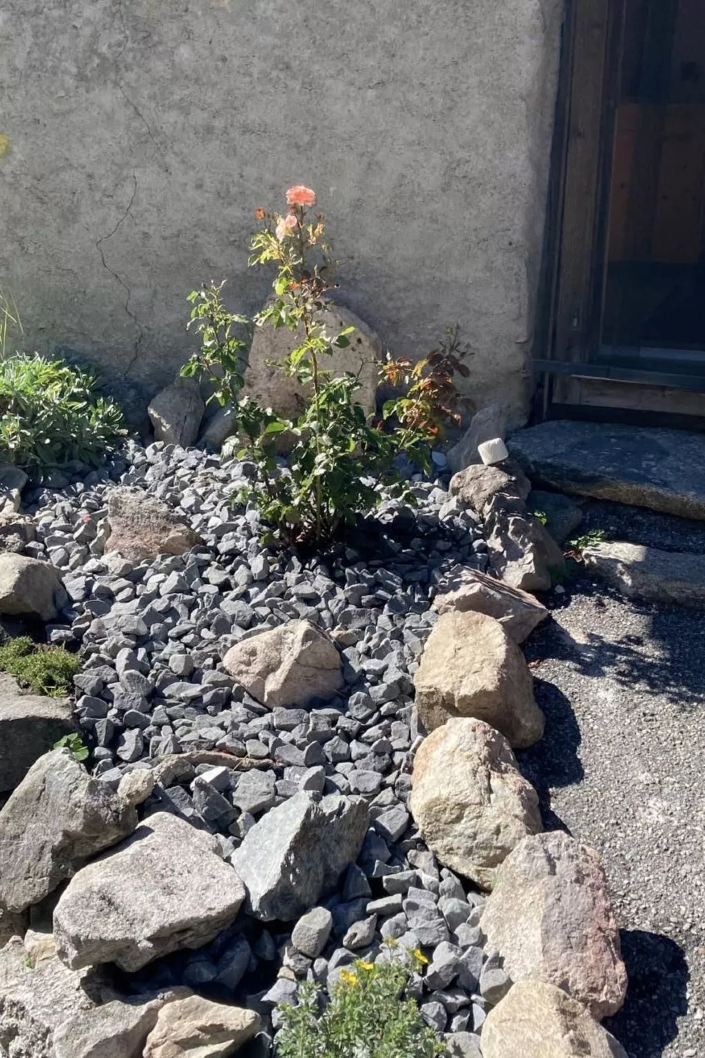 Chalet Le Grandzon **** (bis 8 Personen) - Draußen