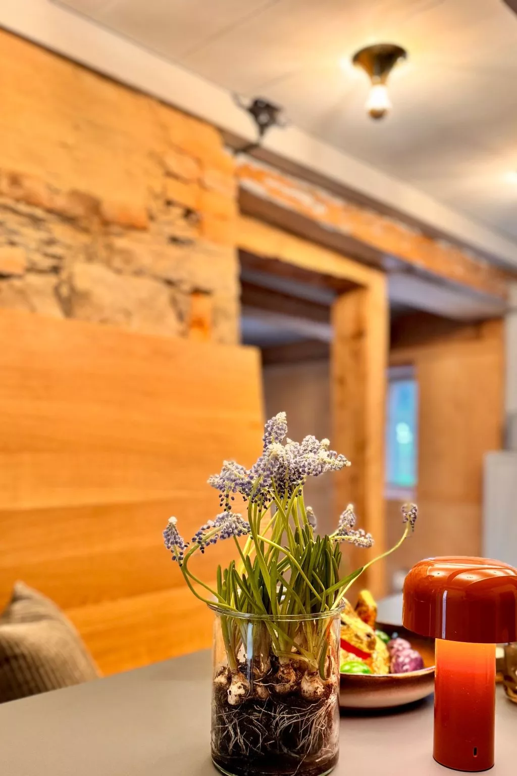 NEU!   dasErbhaus - Inside