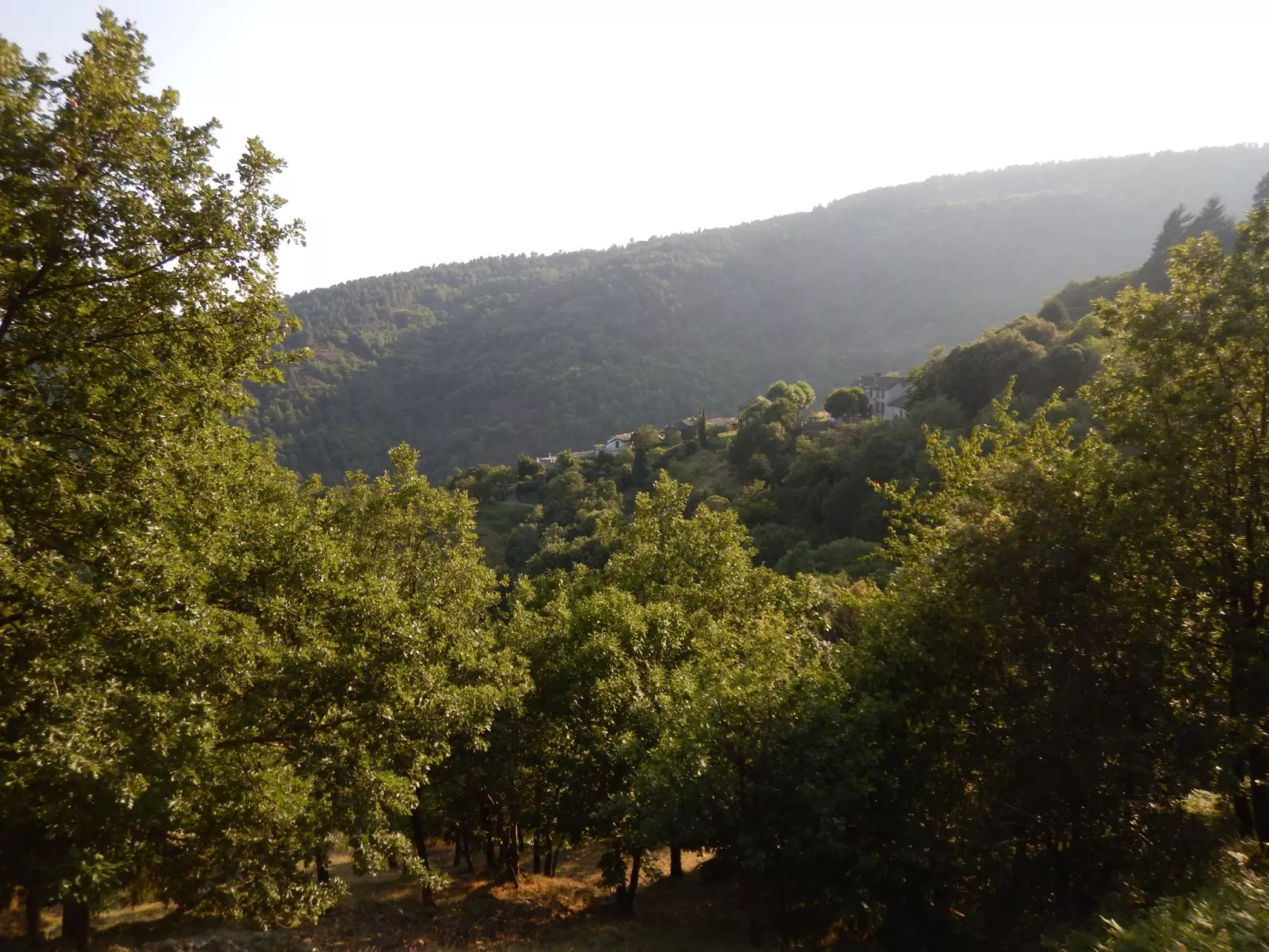 Wohnung "Saint Andre de Lancize" mit Terrasse - Image-tags.info