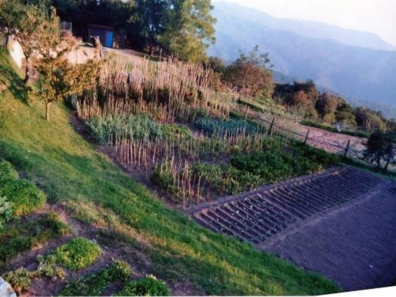 Kamera mit Wi-Fi - Image-tags.info