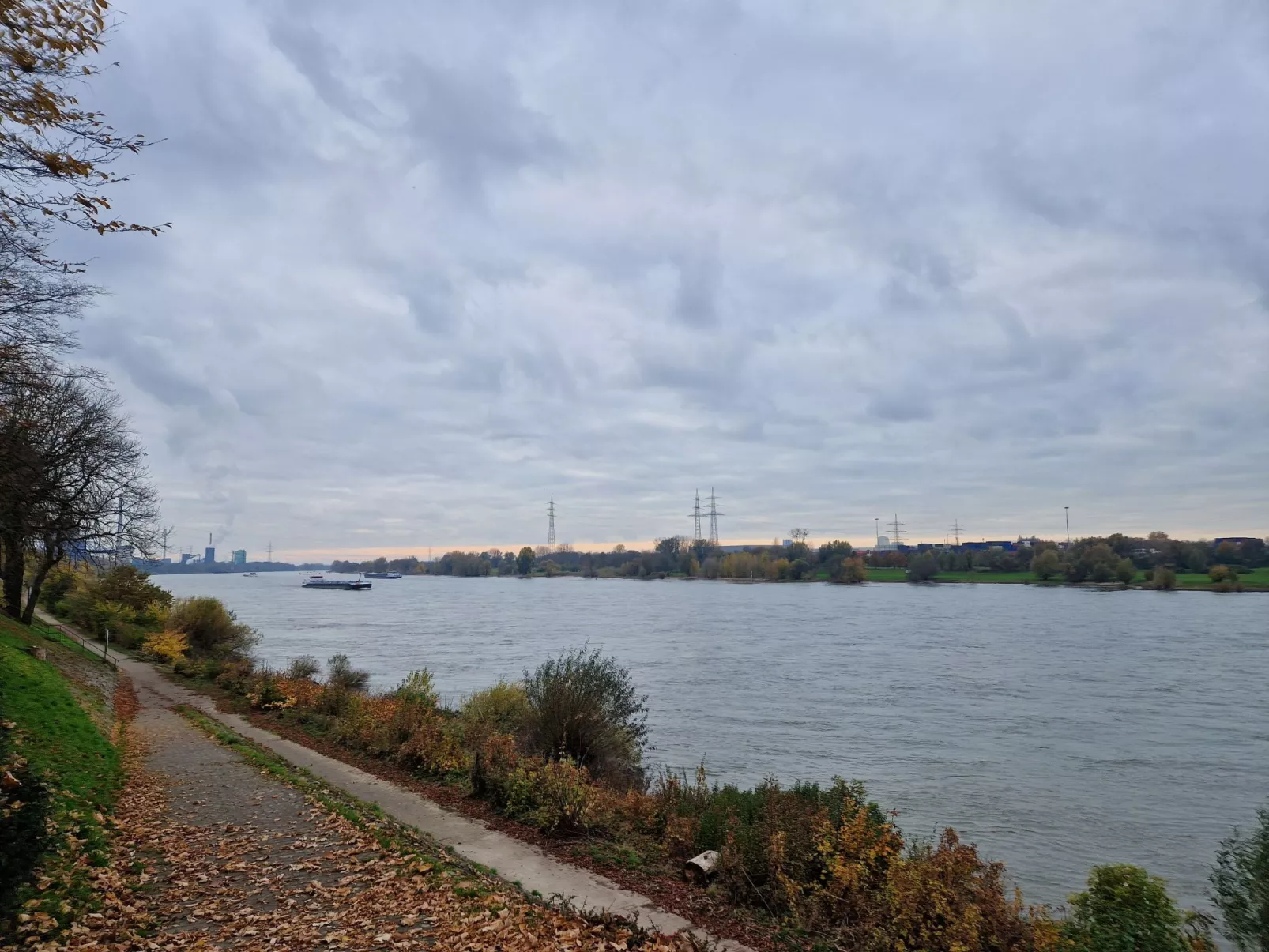 Fewo am Rhein - Dehors
