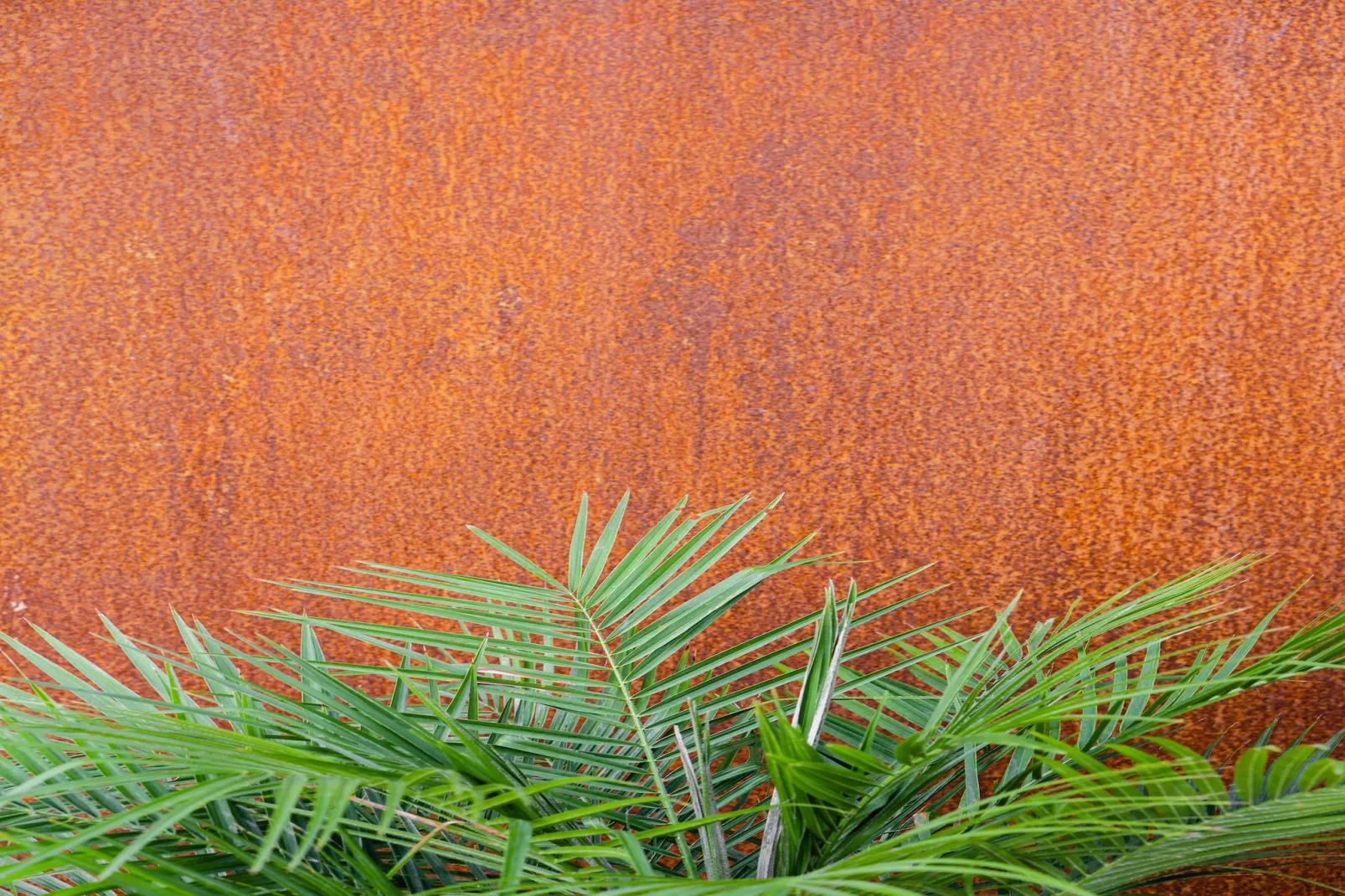 Villa Canyelles - Ambiance