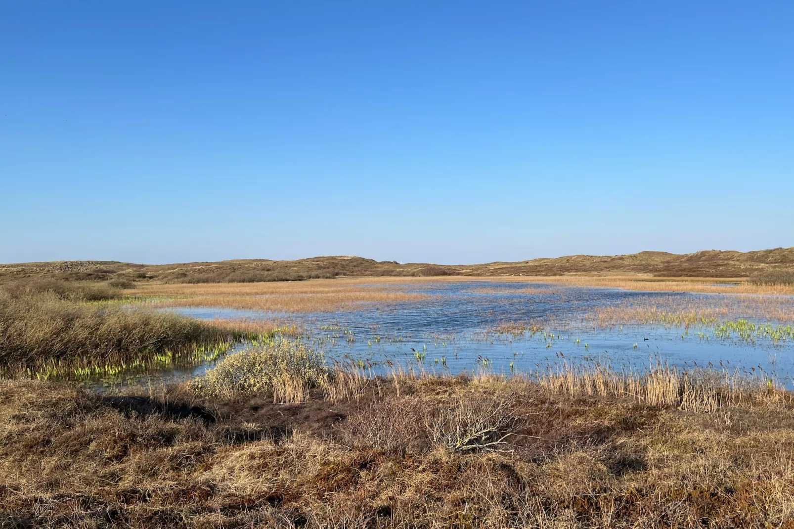 Duinland 248 (copy) - Areas within 5km in summer