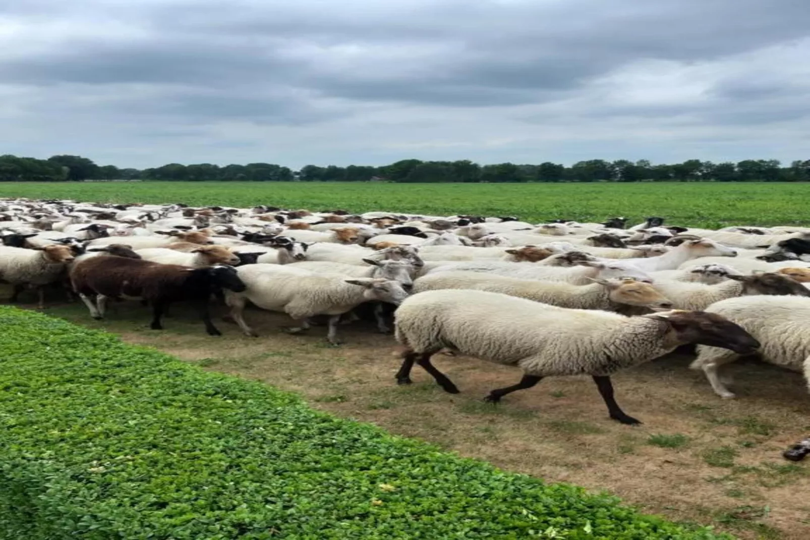 Chalet Egel - Gebiete Sommer 20 km