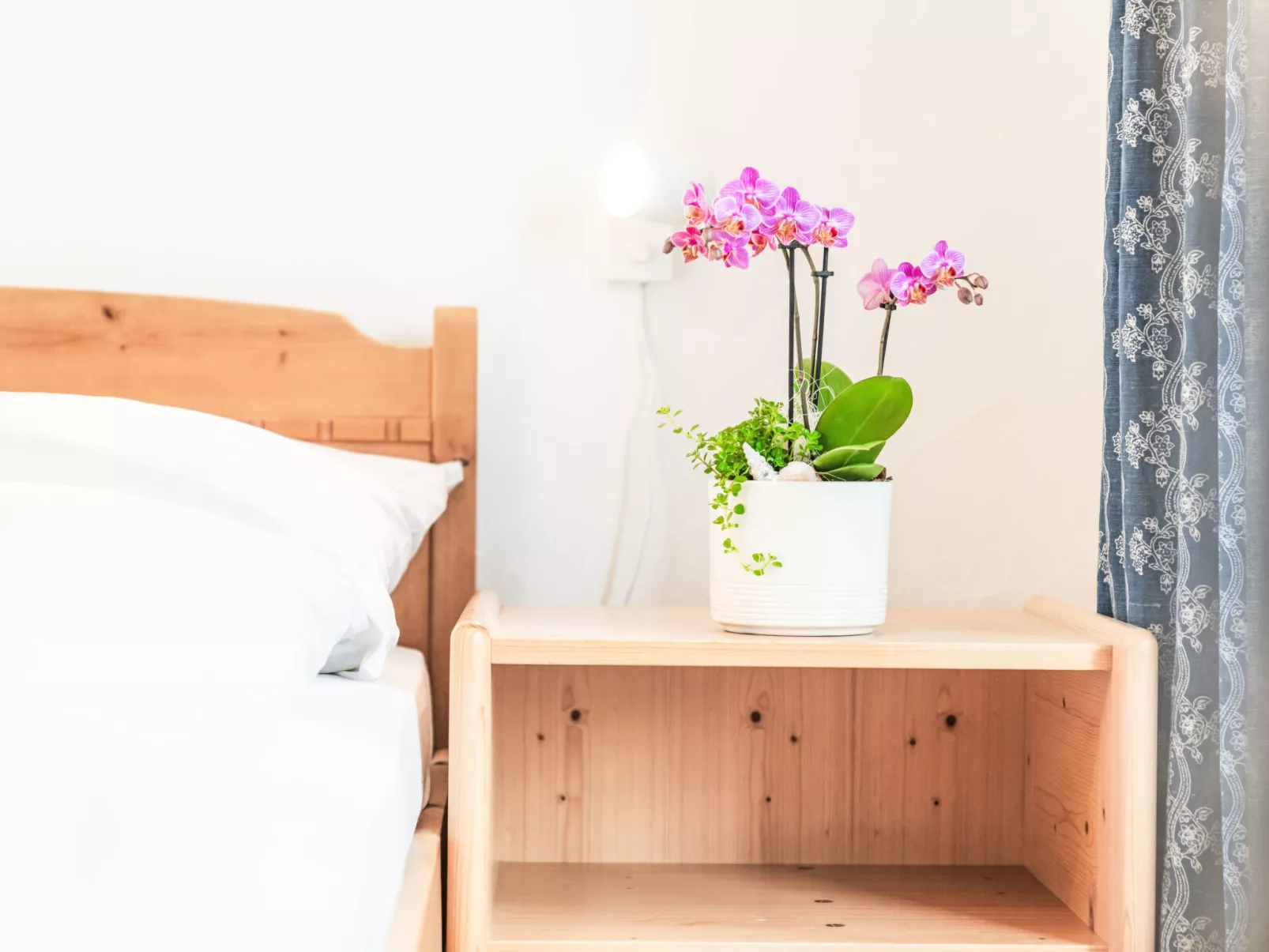 Morteratsch & Grisch - Dedans