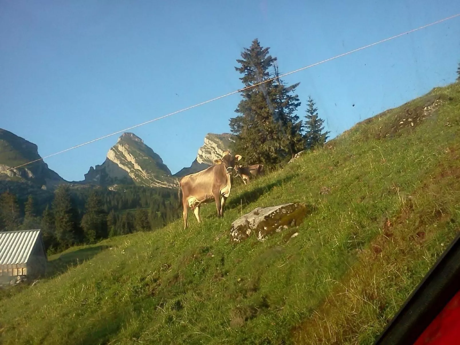Hof Unterstein - Dehors