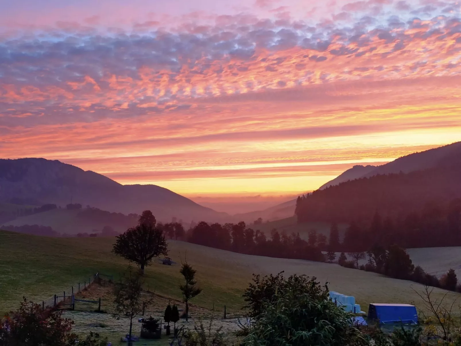 Schafmatthof 1 Obergeschoss - Image-tags.info