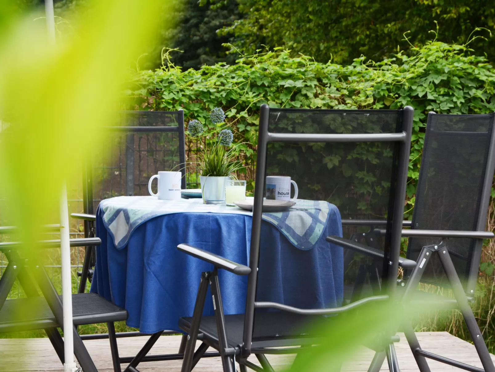 Tiny Haus Carpe Diem - Outside