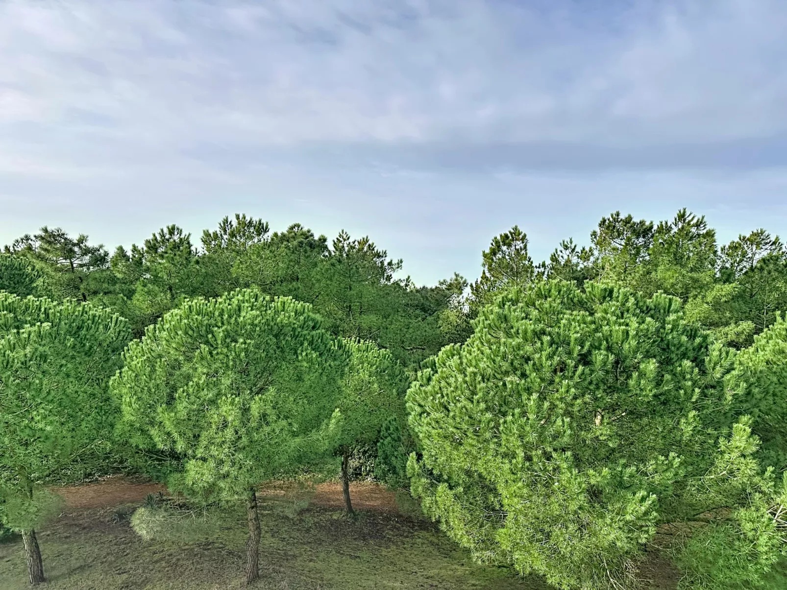 L'Ermitage - Draußen