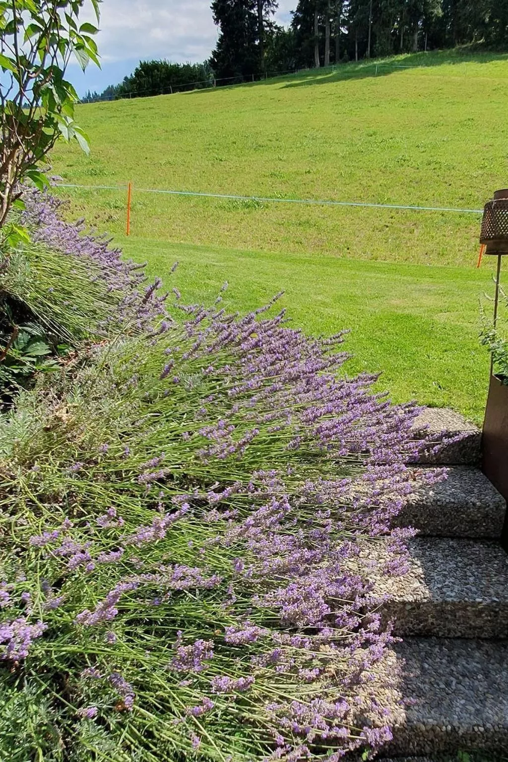 Chuderhütte - Ihr Gütli im Emmental - Outside