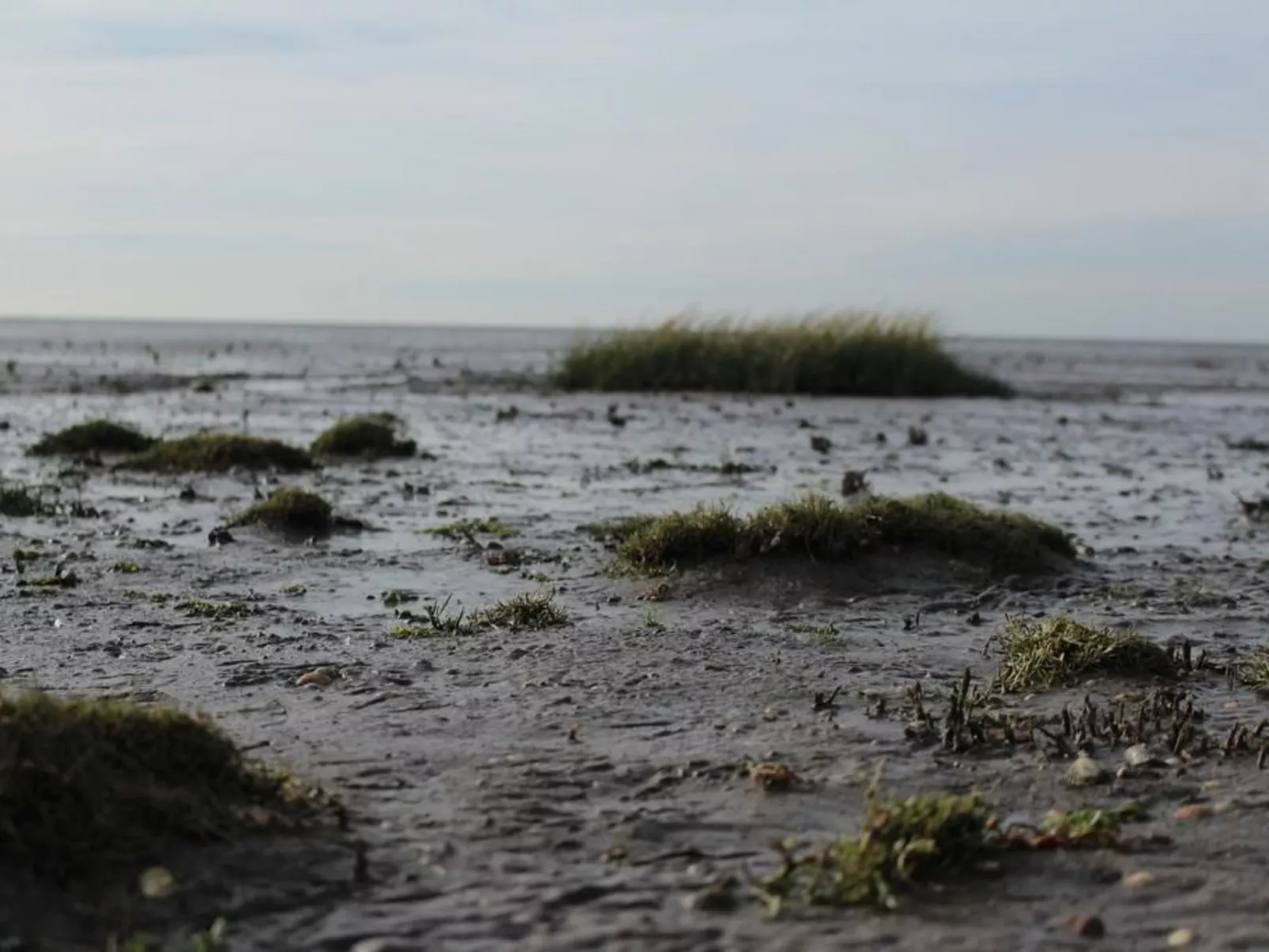 Moin Greetsiel in Greetsiel - Outside