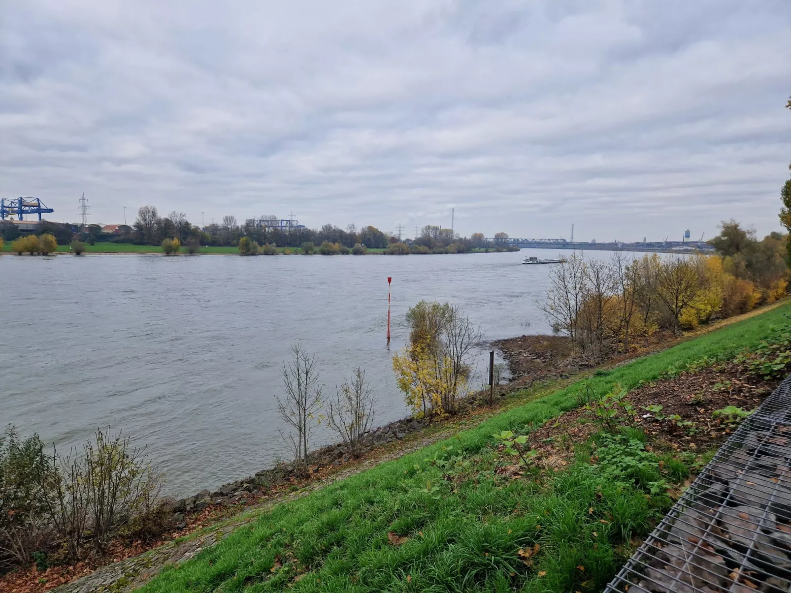 Fewo am Rhein - Dehors