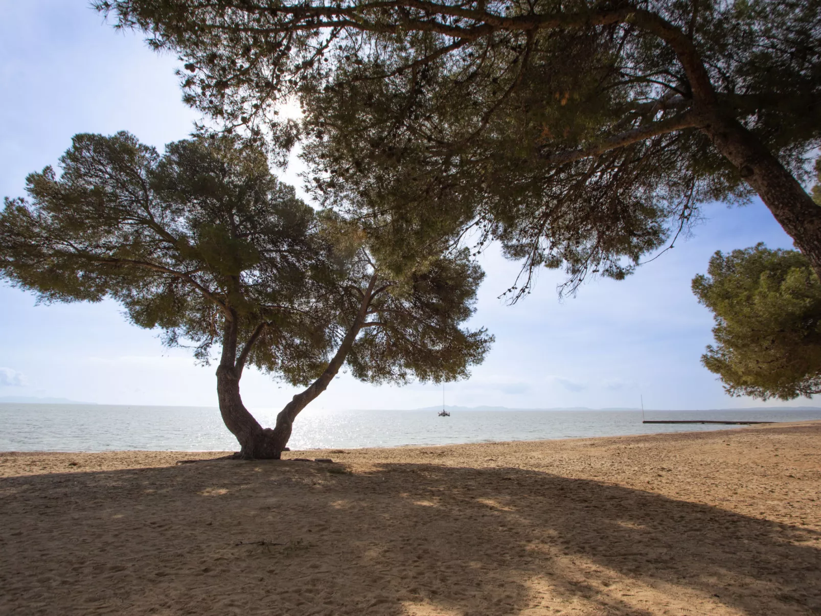 Adelaïde - Environnement