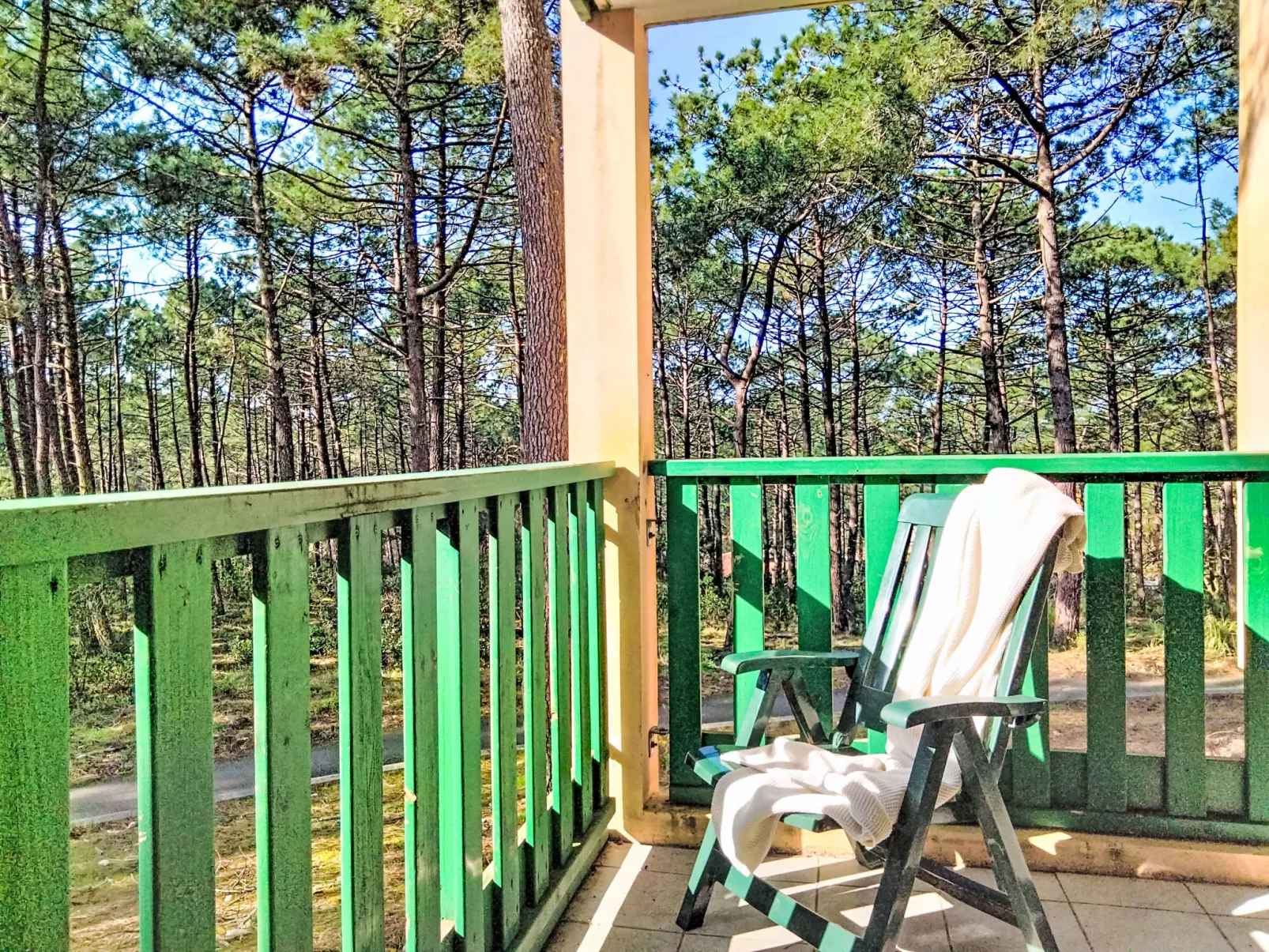 Les Grands Pins - Dehors