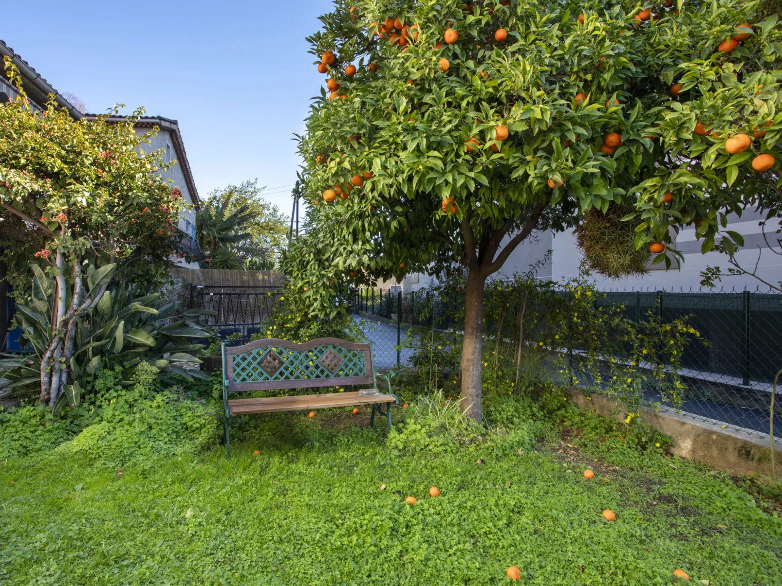 Maison Valensole - Draußen