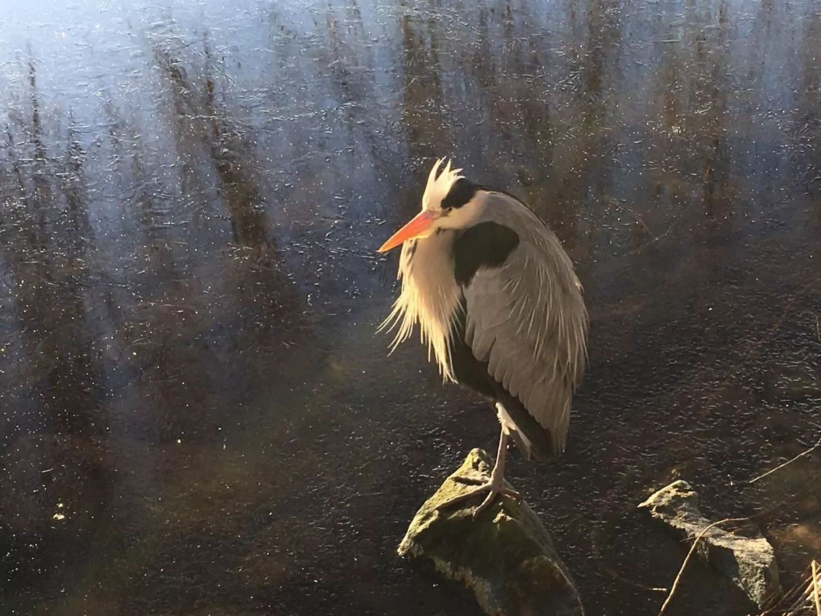 Modernes helles Zimmer im Loft am See - Image-tags.info