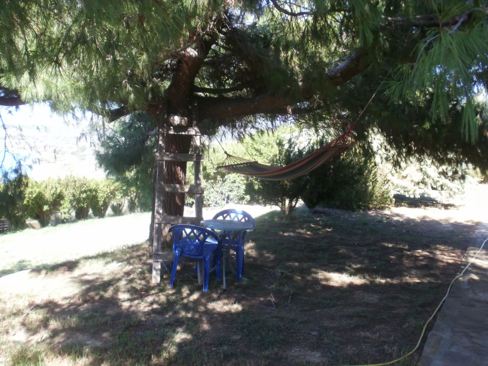 Charly Point Villa-Apartment, Doppelzimmer - Dehors