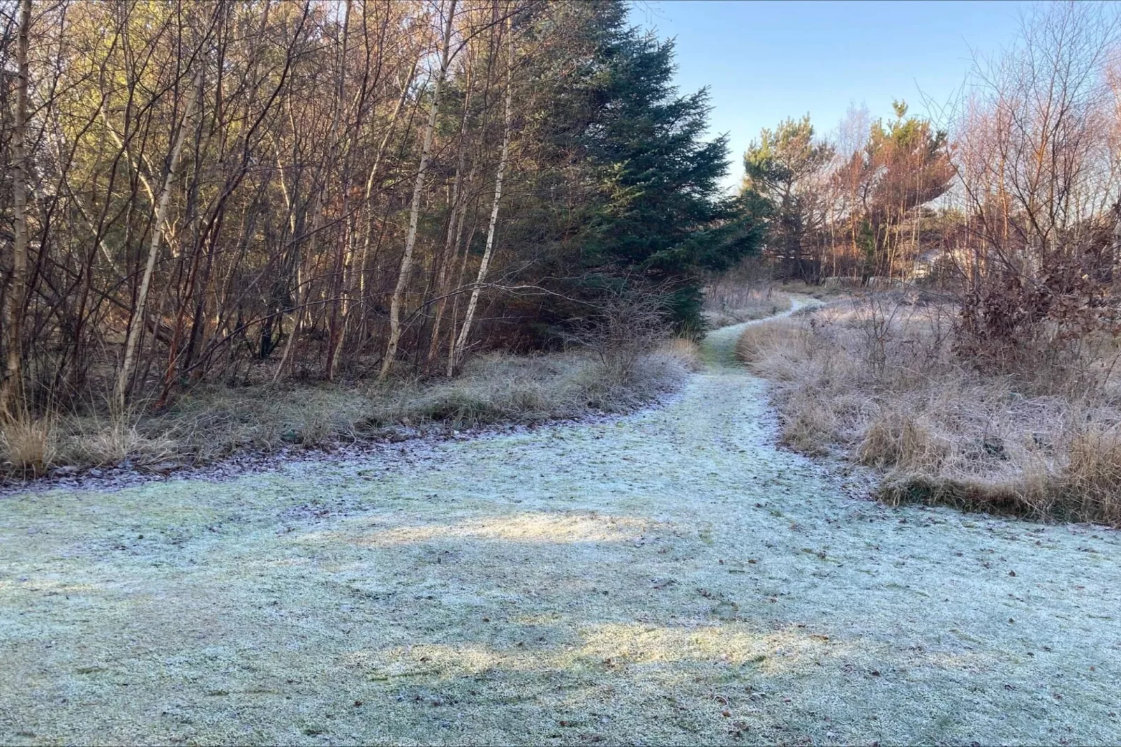 Maison de vacances pour 8 a Vig - Vue